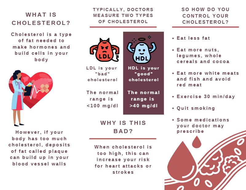 Cholesterol Brochure, page 2 of 2